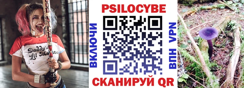 Галлюциногенные грибы Psilocybine cubensis  как найти закладки  мега онион  Заполярный 